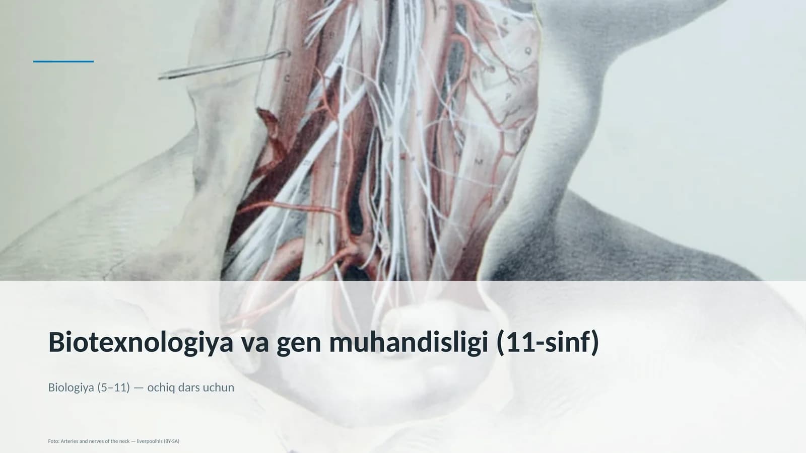 Biotexnologiya va gen muhandisligi (11-sinf)