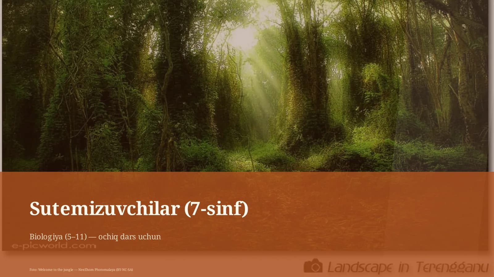 Sutemizuvchilar (7-sinf)