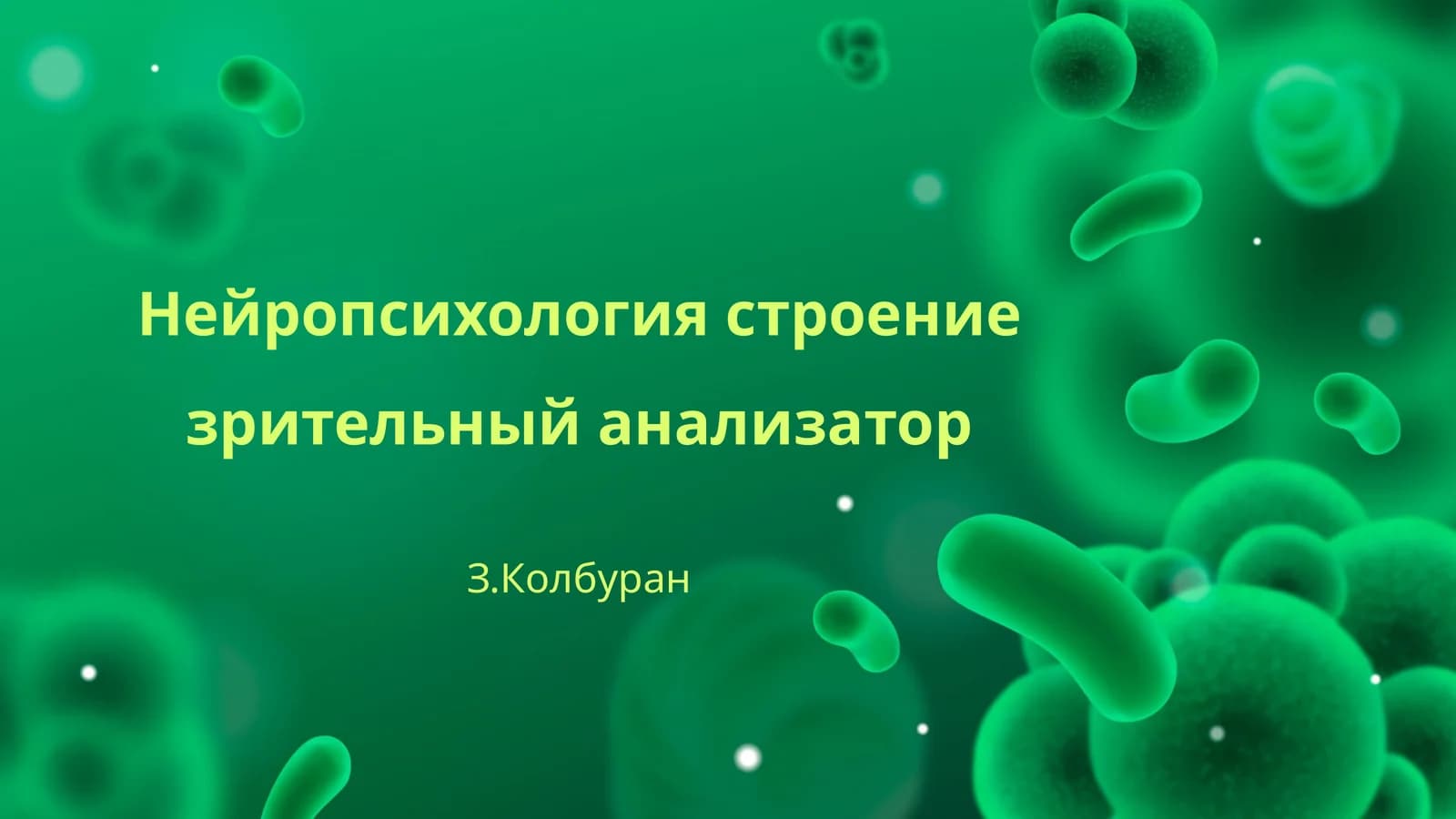Нейропсихология строение зрительный анализатор