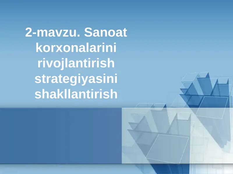 Sanoat korxonalarini rivojlantirish strategiyasini shakllantirish