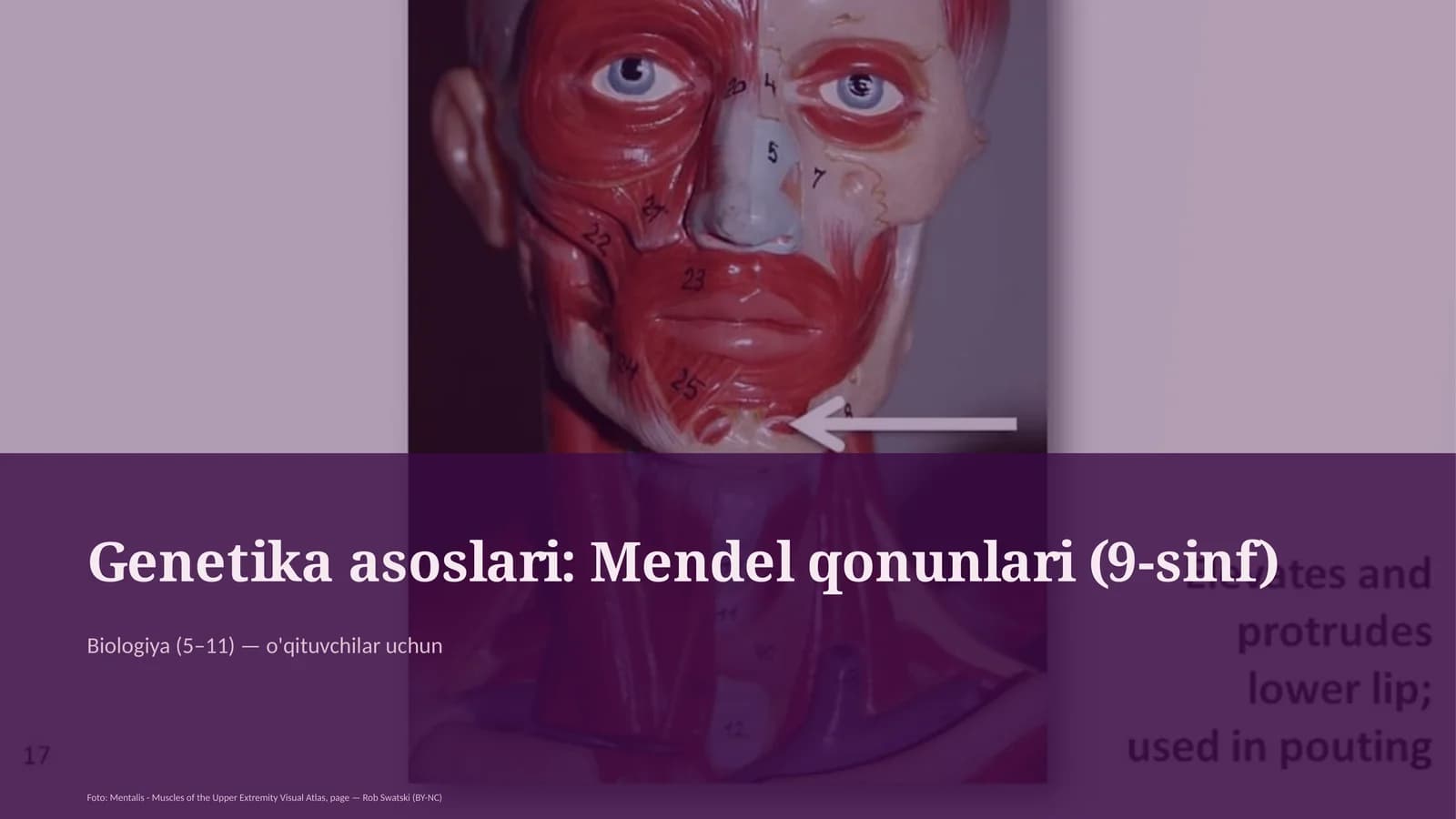 Genetika asoslari: Mendel qonunlari (9-sinf)