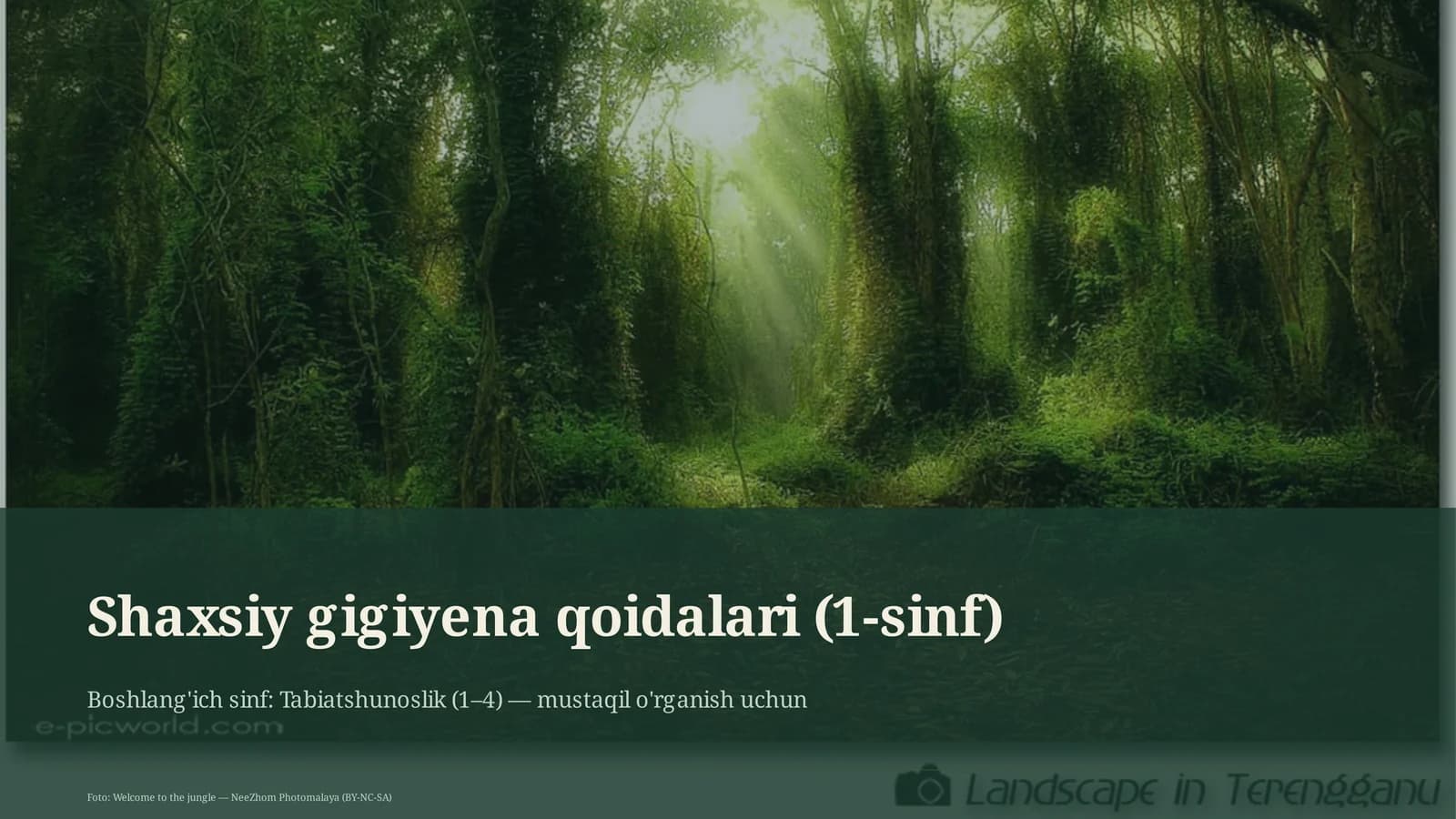Shaxsiy gigiyena qoidalari (1-sinf)