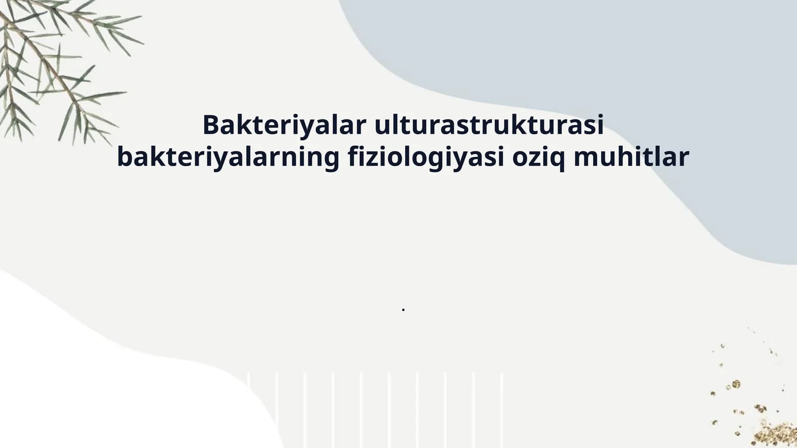 Bakteriyalar ulturastrukturasi bakteriyalarning fiziologiyasi oziq muhitlar