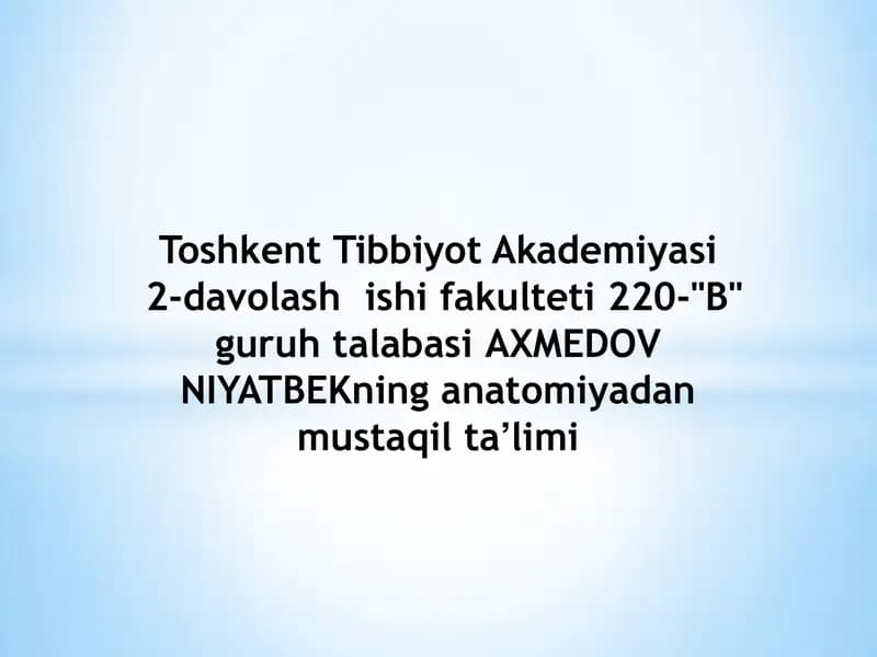 Orqa miya anatomiyasi