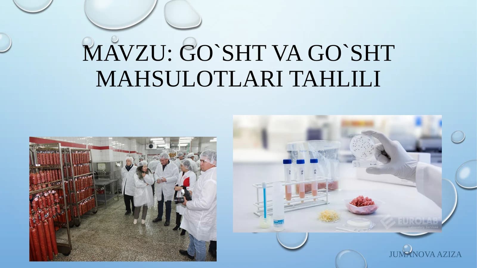 Go'shtning rangi va go'sht mahsulotlari