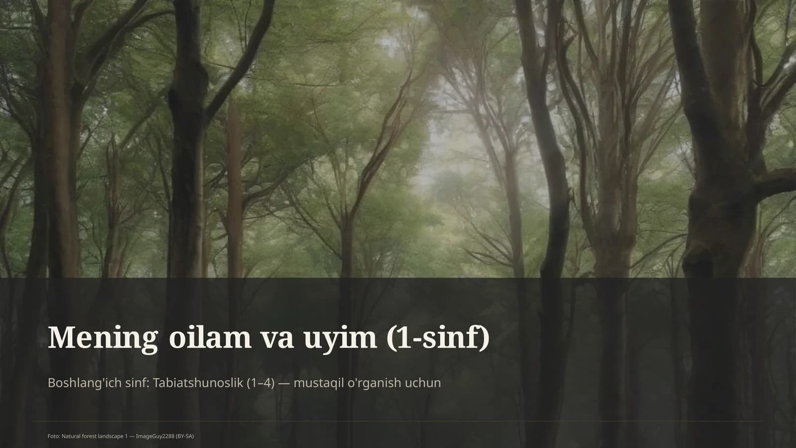 Mening oilam va uyim (1-sinf)