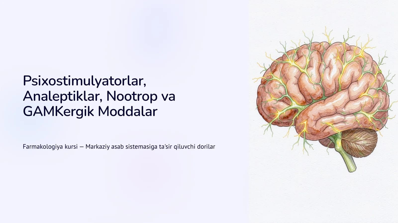 Psixostimulyatorlar, Analeptiklar, Nootrop va GAMKergik Moddalar