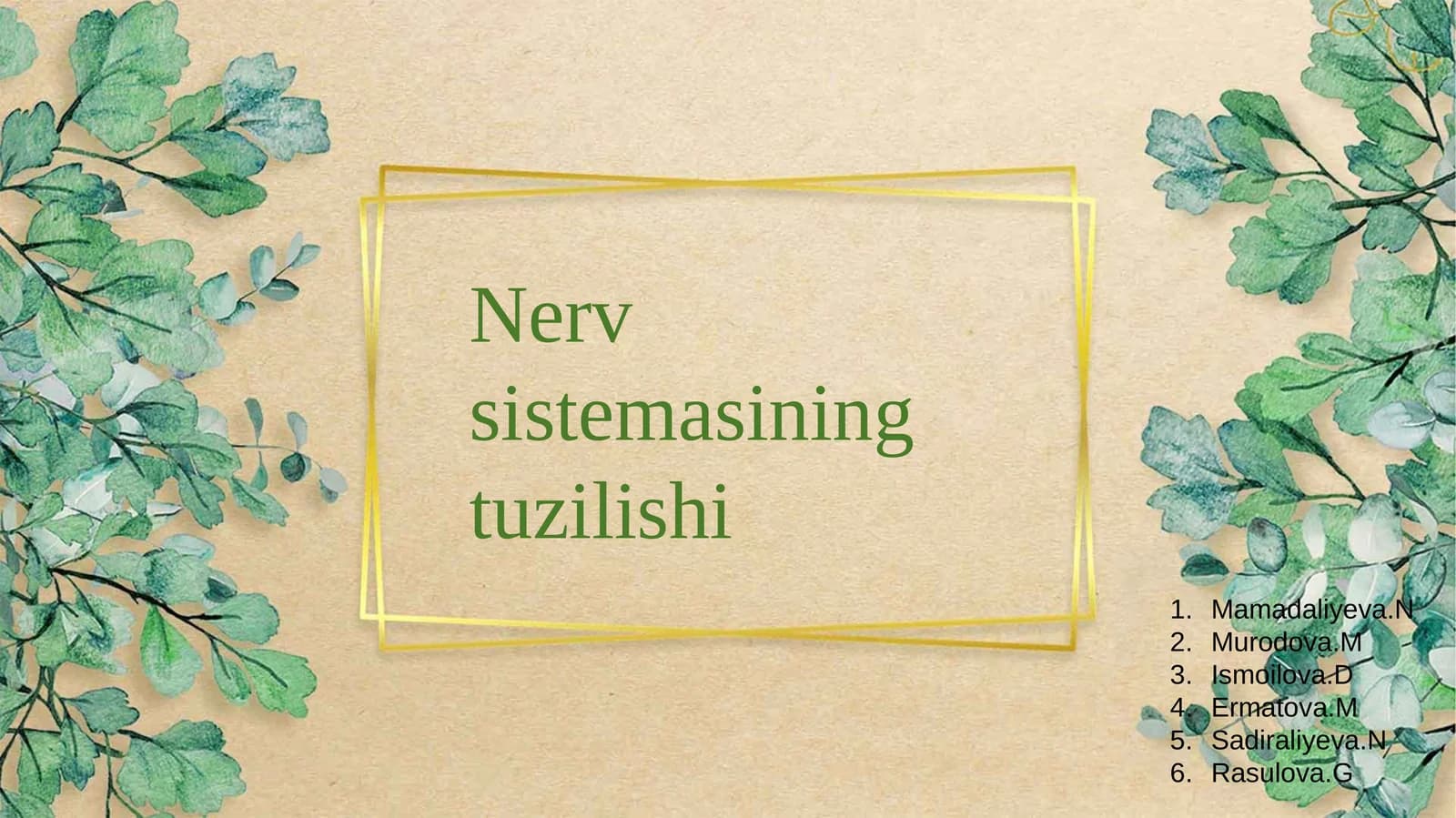 Nerv sistemasining tuzilishi