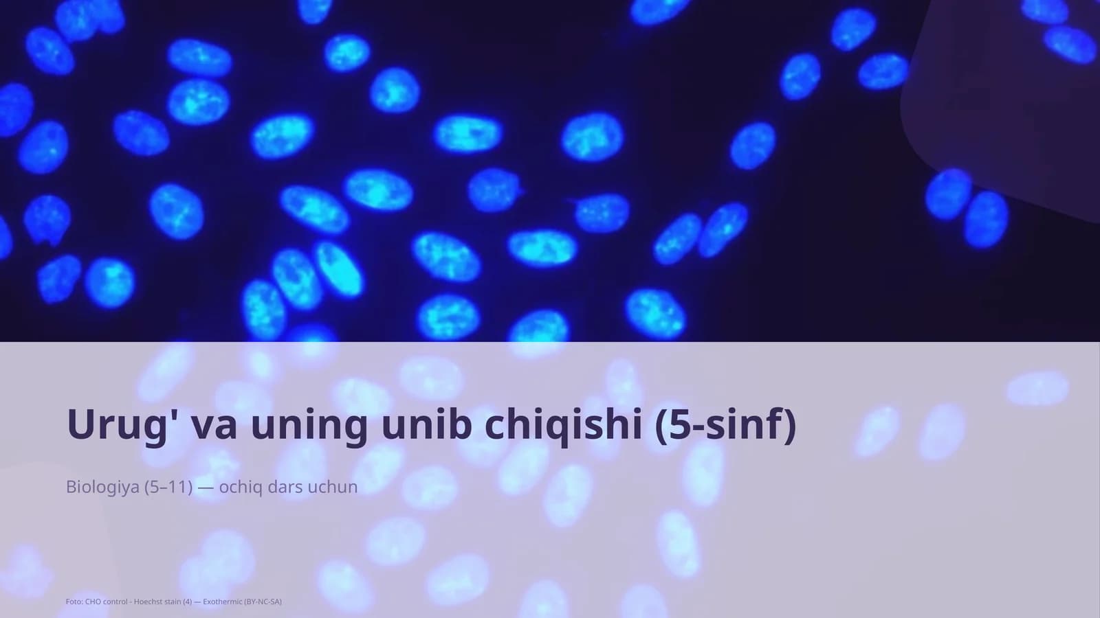 Urug' va unib chiqishi (5-sinf)