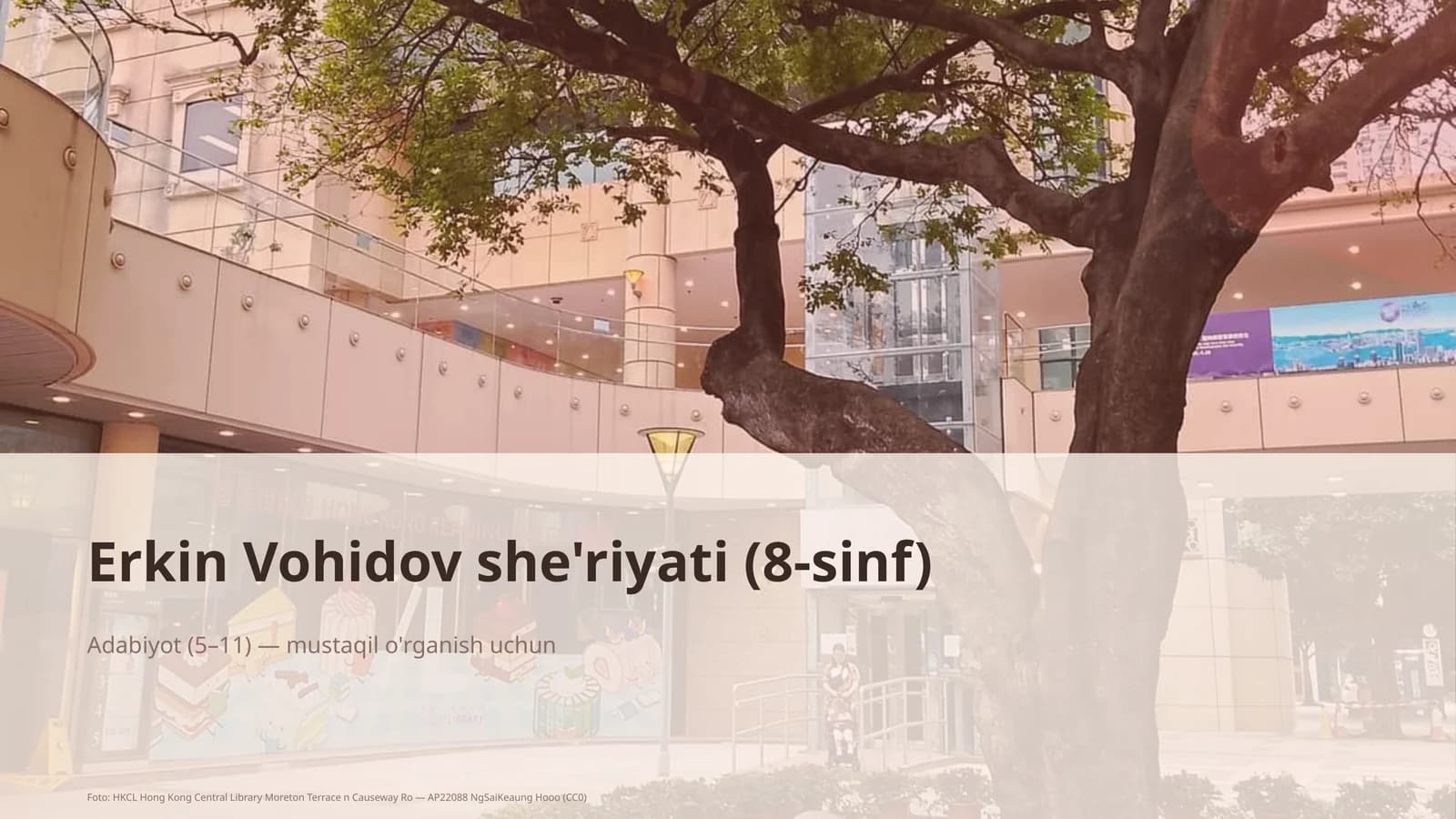 Erkin Vohidov she'riyati (8-sinf)