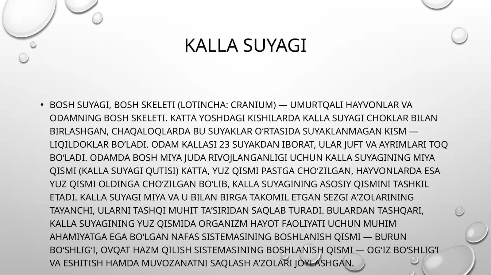 Kalla suyagi