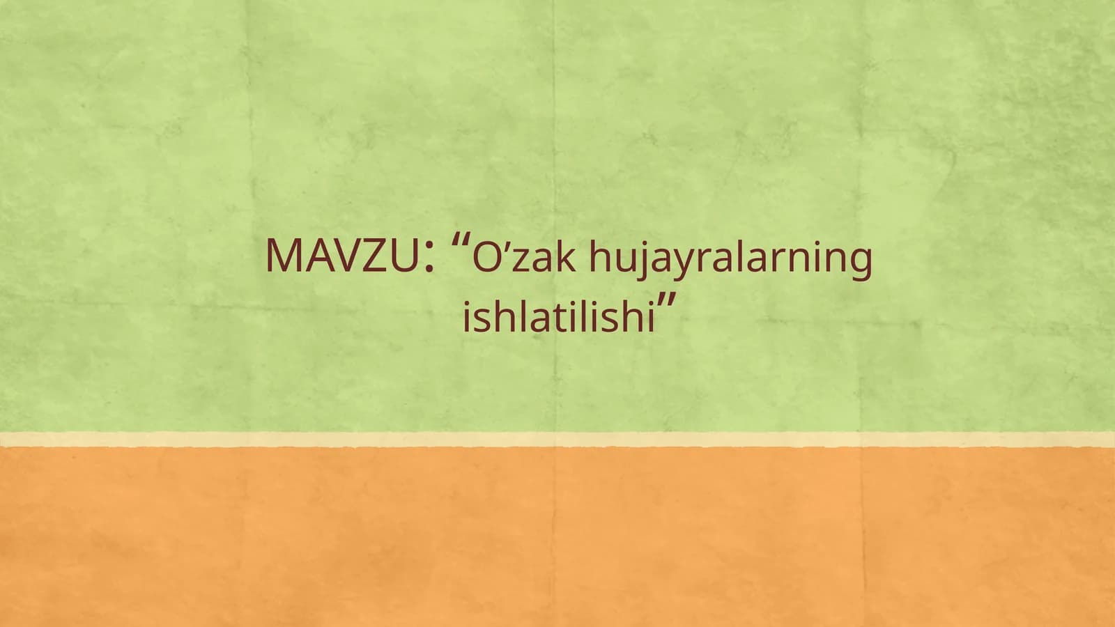 O‘zak hujayralar