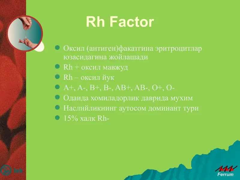 Rh Factor