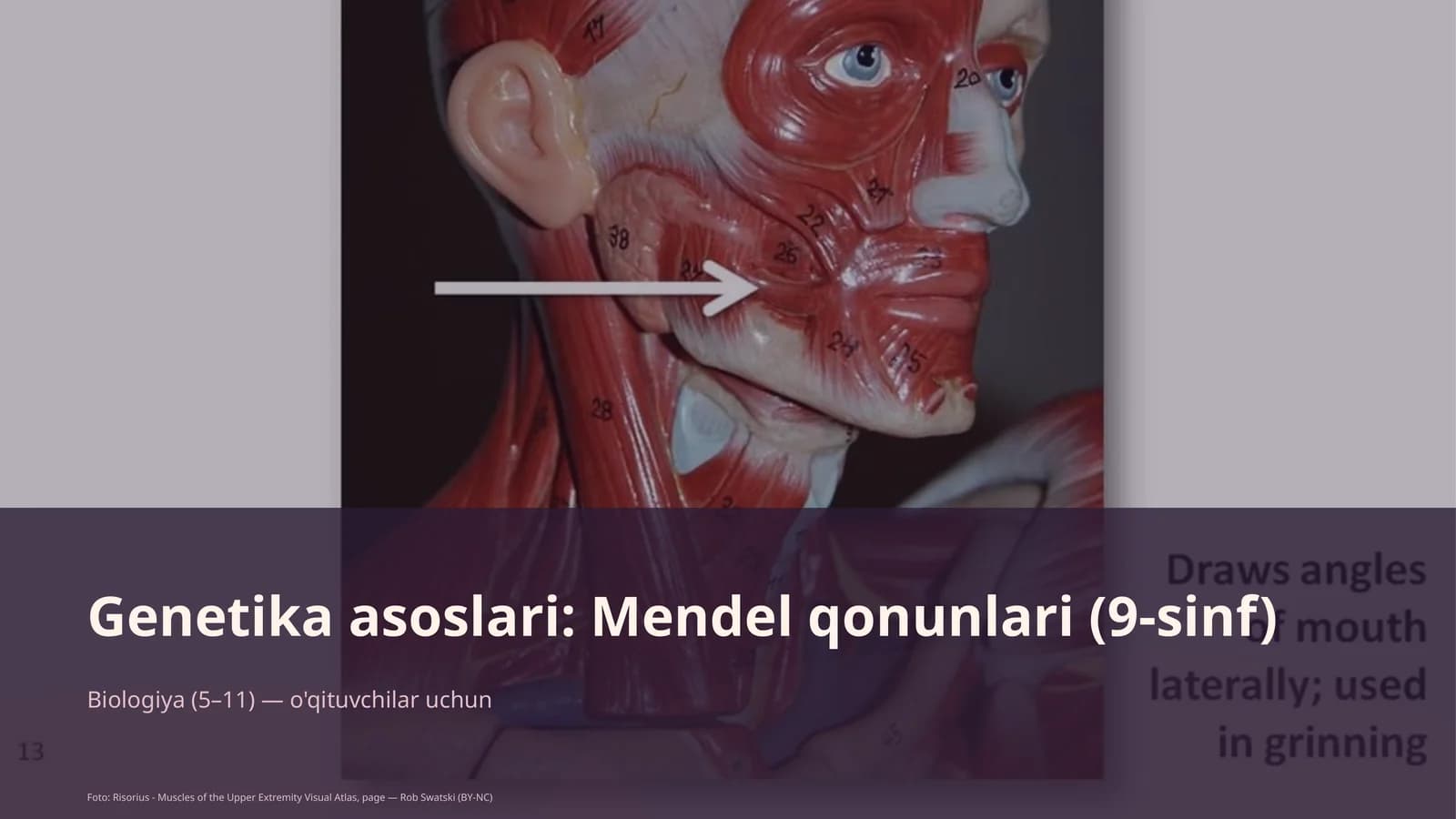 Genetika asoslari: Mendel qonunlari (9-sinf)
