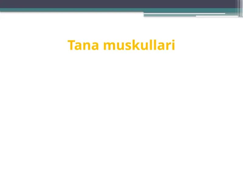 Tanamuskullari