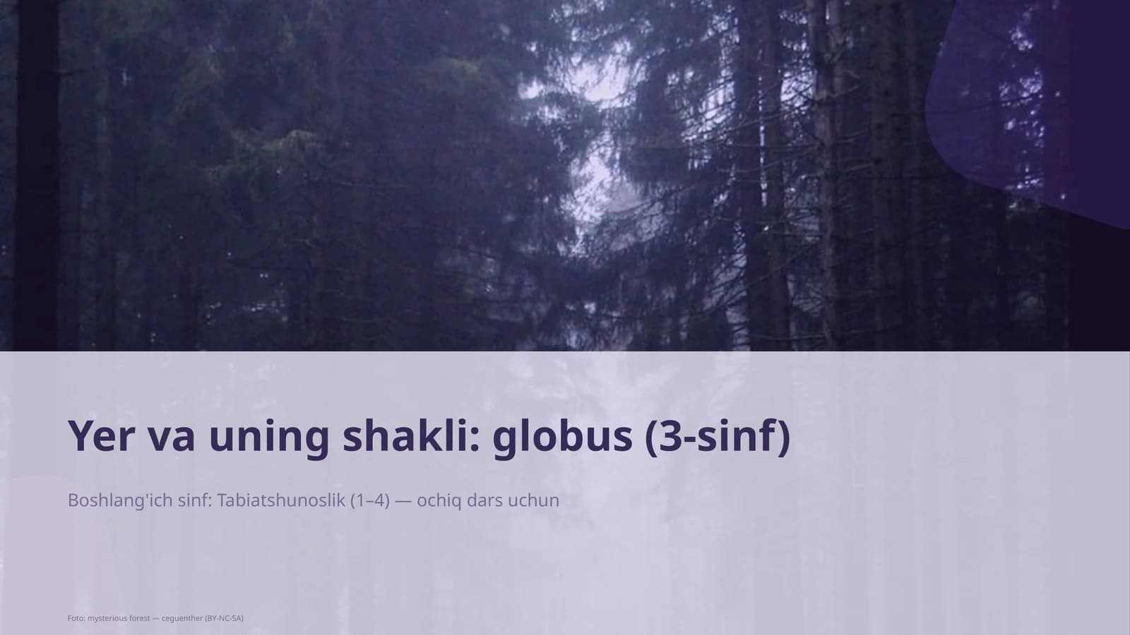 Yer va uning shakli: globus (3-sinf)
