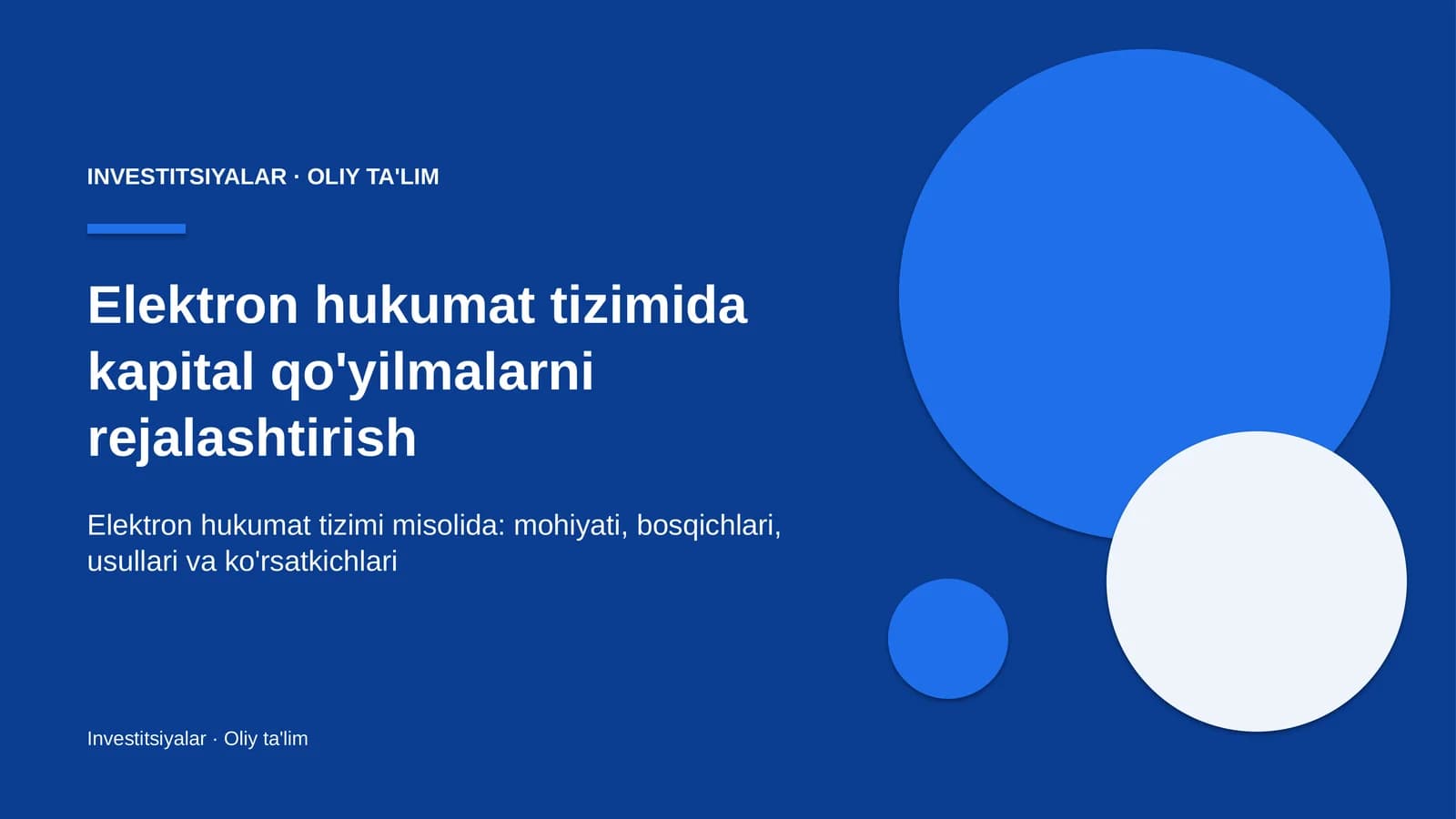 Elektron hukumat tizimida kapital qo'yilmalarni rejalashtirish