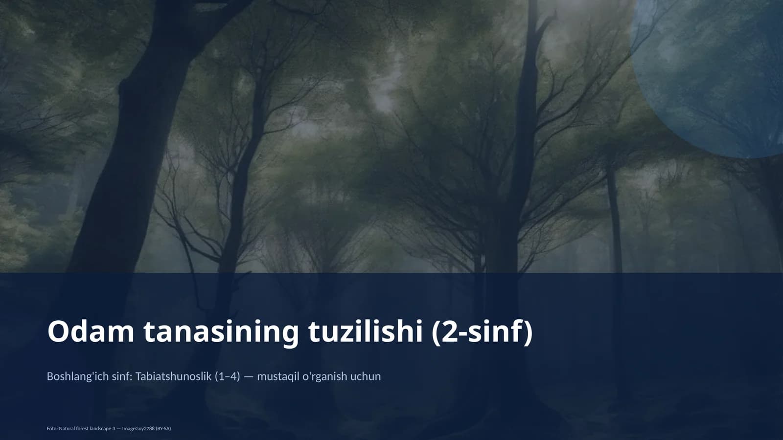 Odam tanasining tuzilishi (2-sinf)