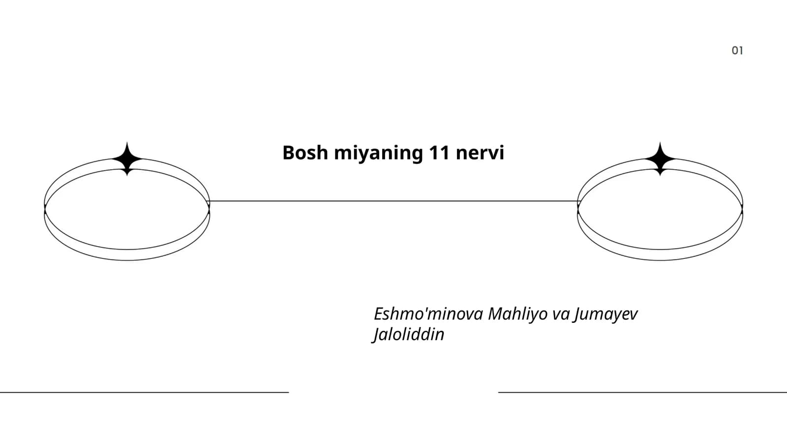 Bosh miyaning 11 nervi