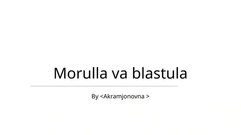 Morulla va Blastula