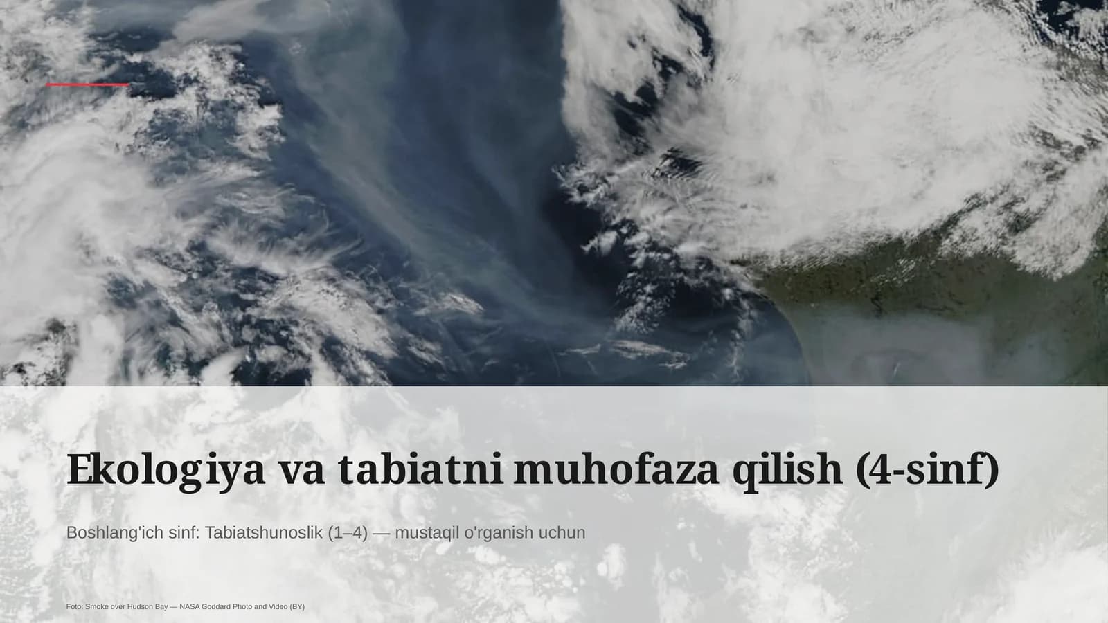 Ekologiya va tabiatni muhofaza qilish (4-sinf)