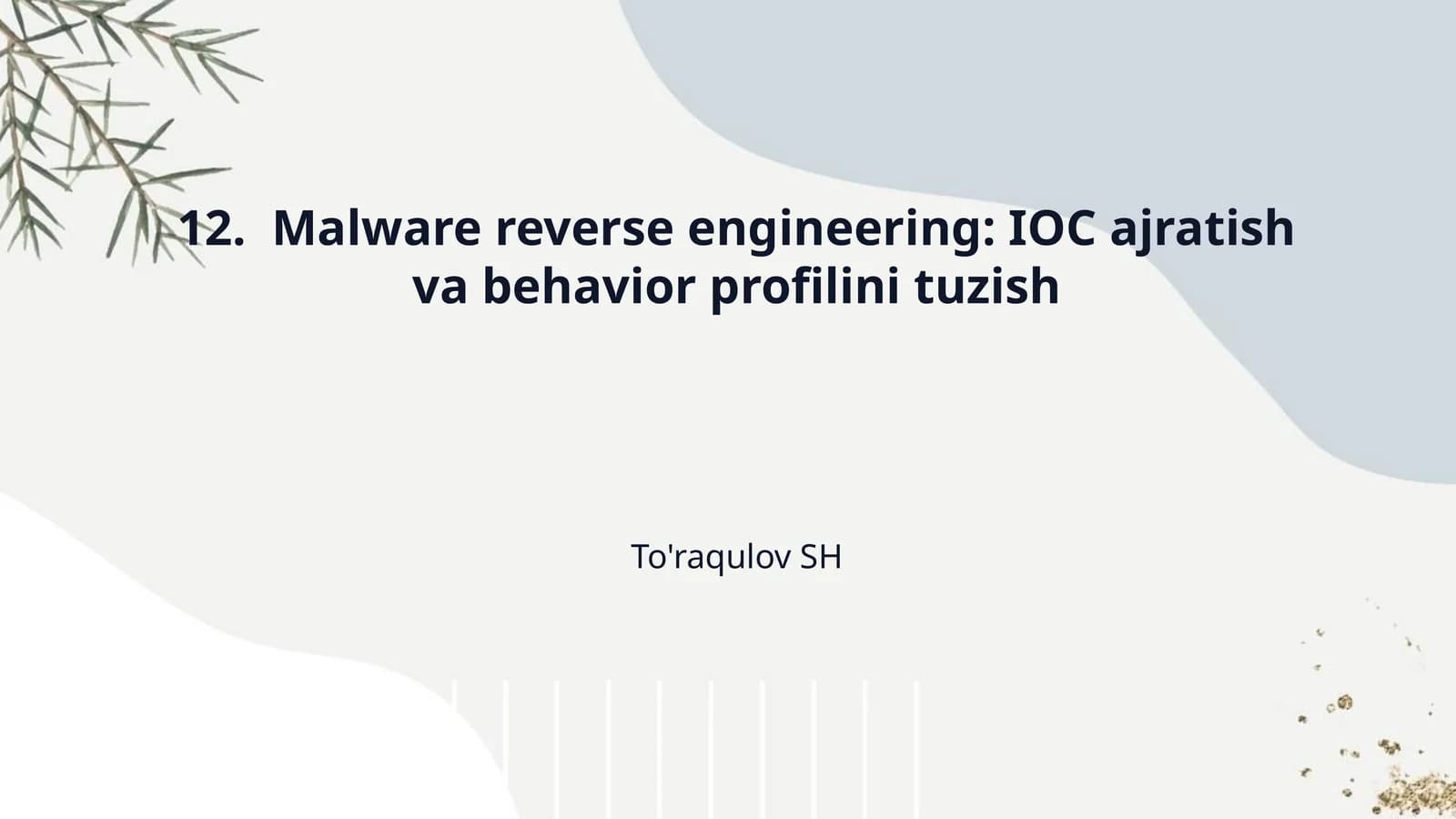 12.  Malware reverse engineering: IOC ajratish va behavior profilini tuzish