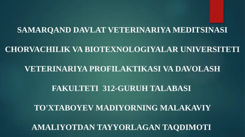 TALABASI TO'XTABOYEV MADIYORNING MALAKAVIY AMALIYOTDAN TAYYORLAGAN TAQDIMOTI
