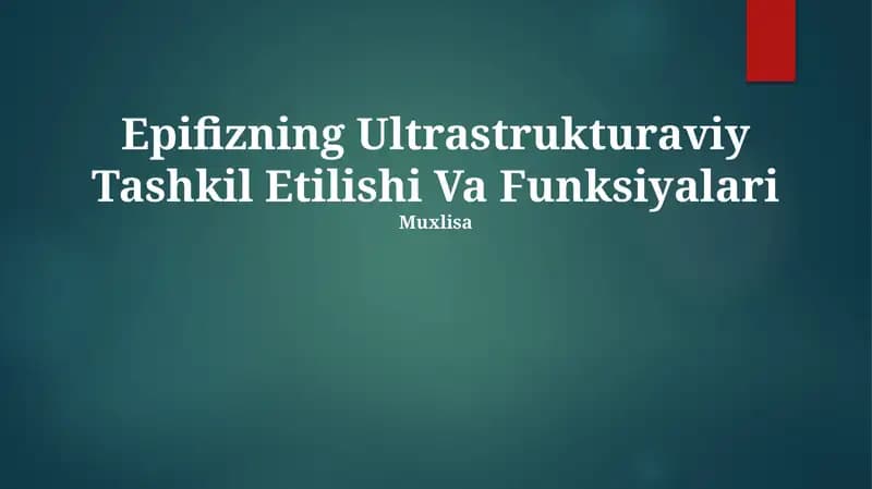 Epifizning Ultrastrukturaviy Tashkil Etilishi Va Funksiyalari