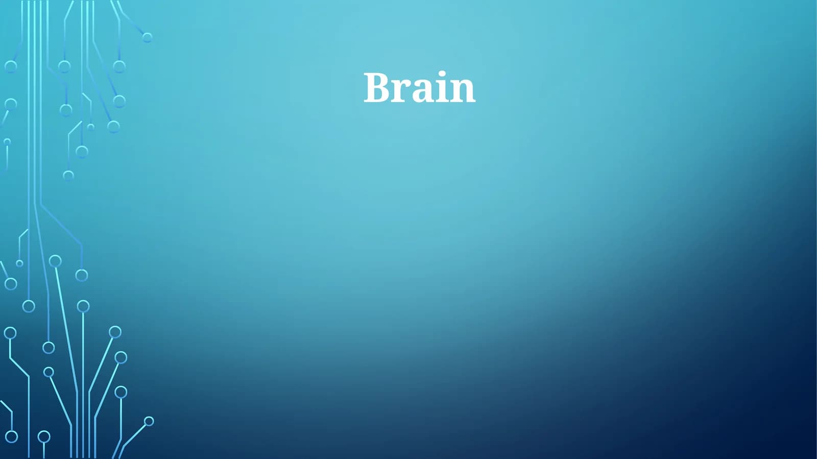 Brain
