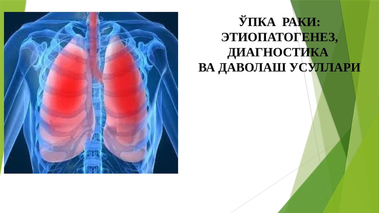 O'PKA RAKI