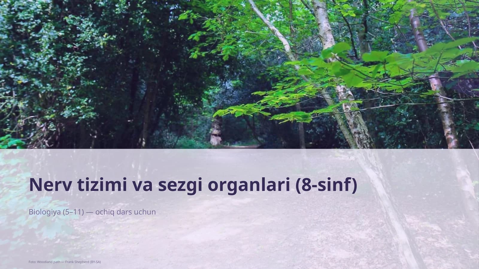 Nerv tizimi va sezgi organlari (8-sinf)