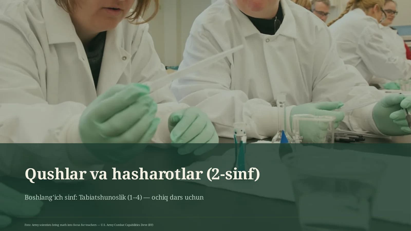Qushlar va hasharotlar (2-sinf)