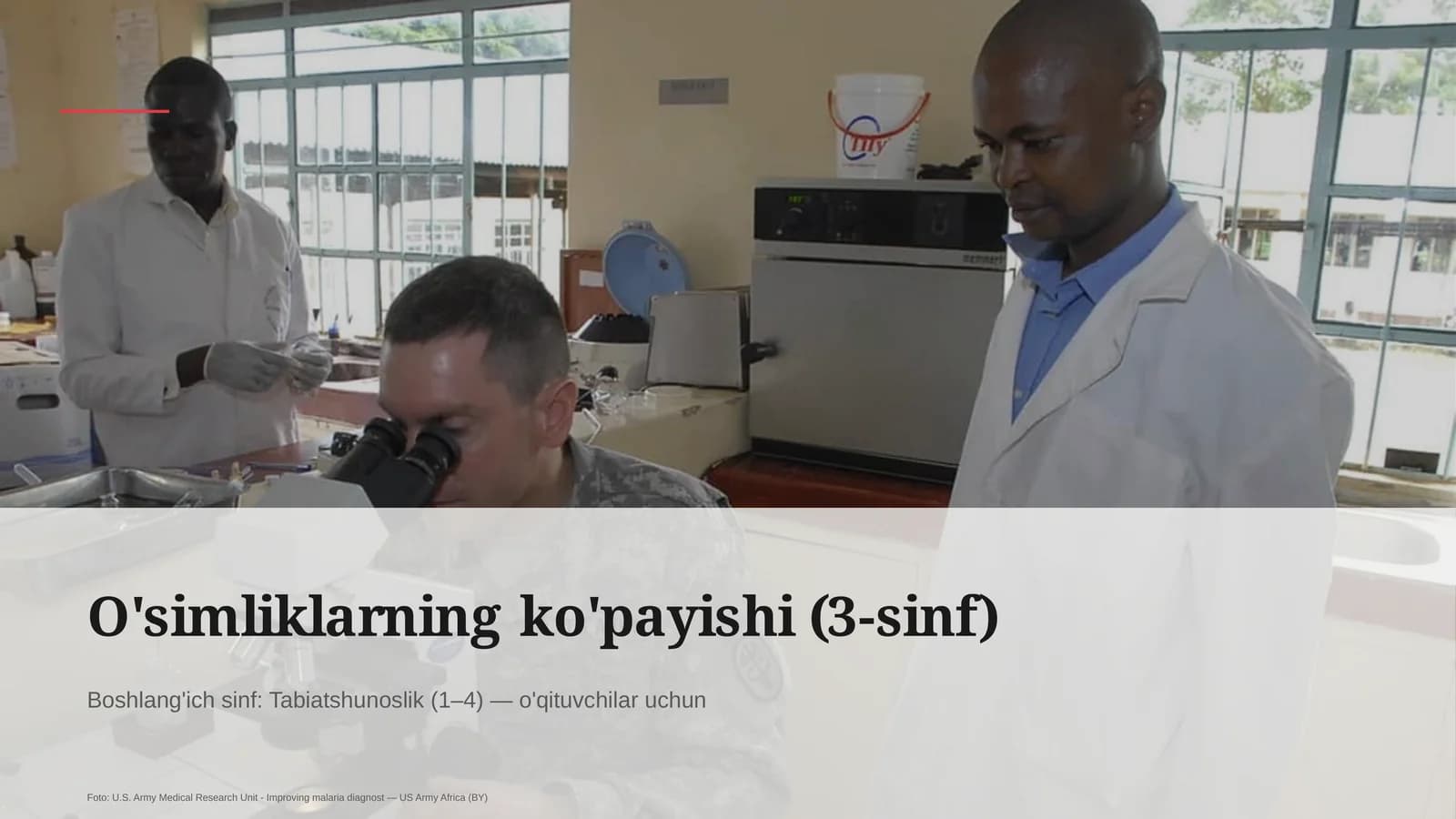 O'simliklarning ko'payishi (3-sinf)