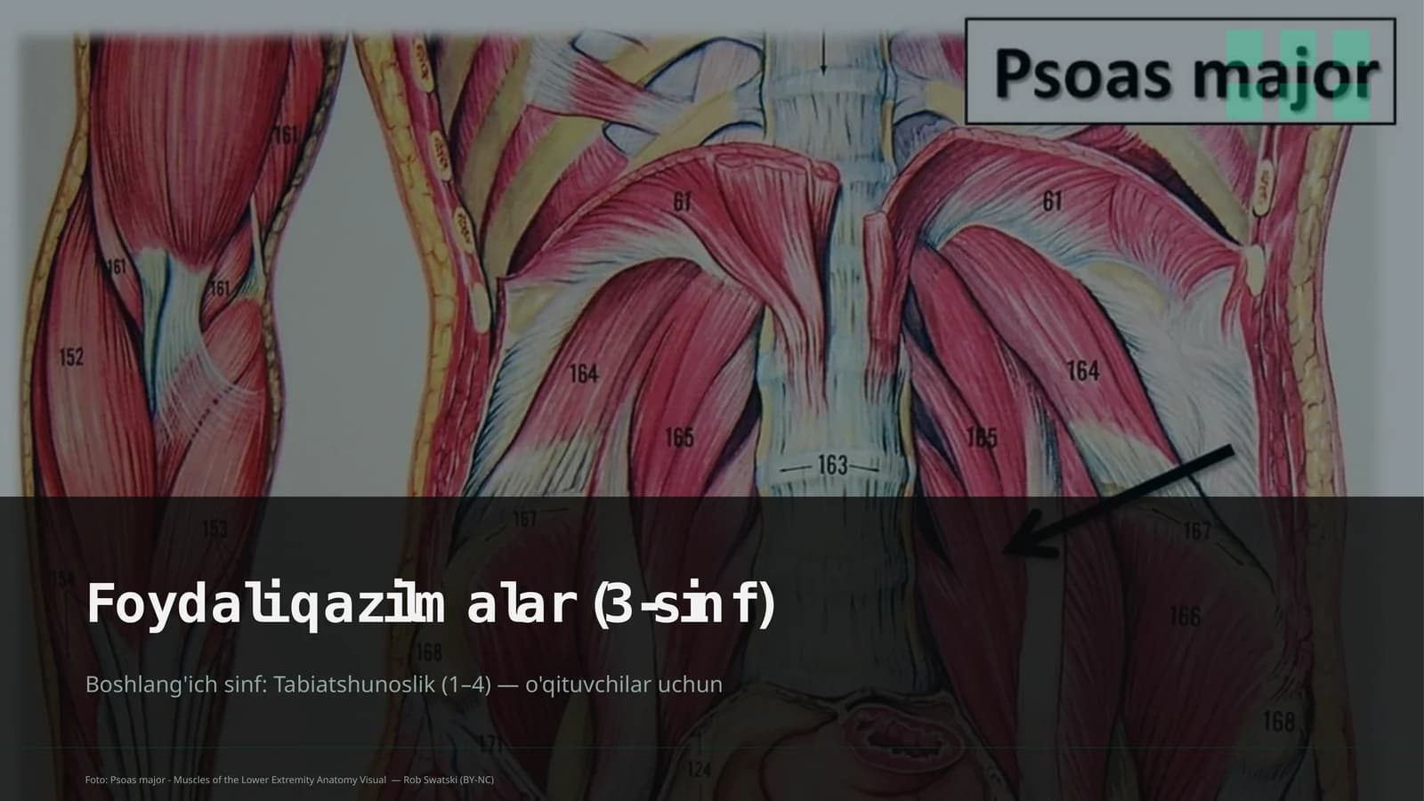 Foydali qazilmalar (3-sinf)