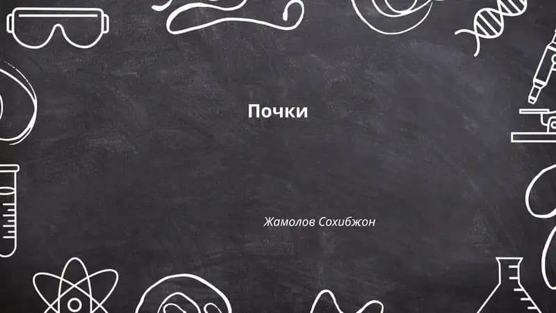 Почки