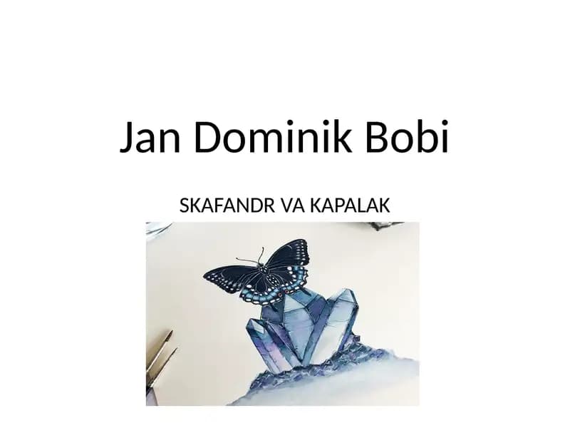 Jan-Dominik Bobi