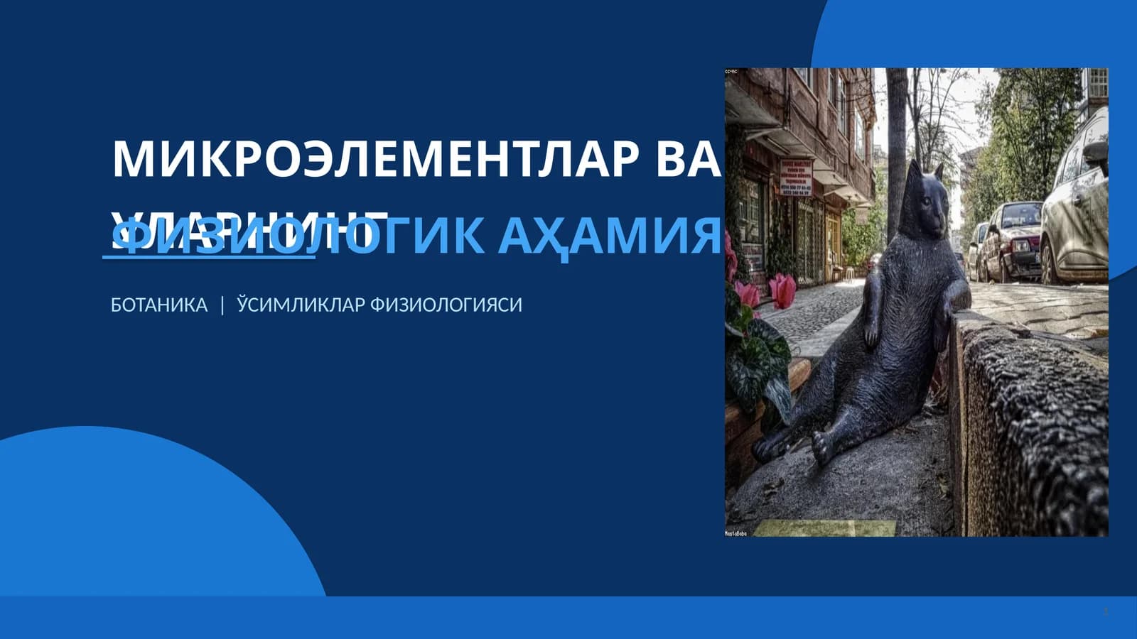 МИКРОЭЛЕМЕНТЛАР ВА УЛАРНИНГ ФИЗИОЛОГИК АҲАМИЯТИ