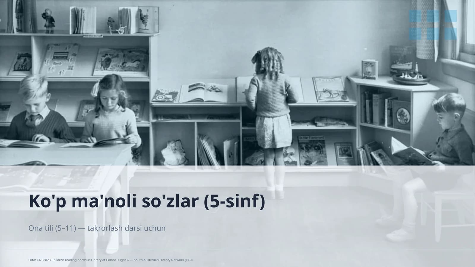 Ko'p ma'noli so'zlar (5-sinf)