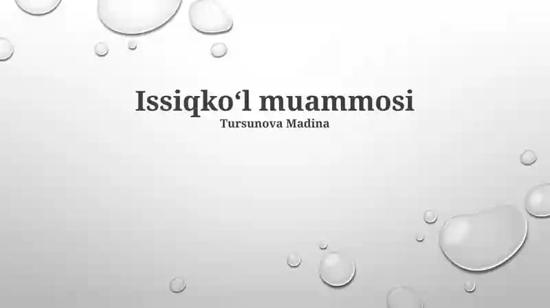Issiqkoʻl muammosi