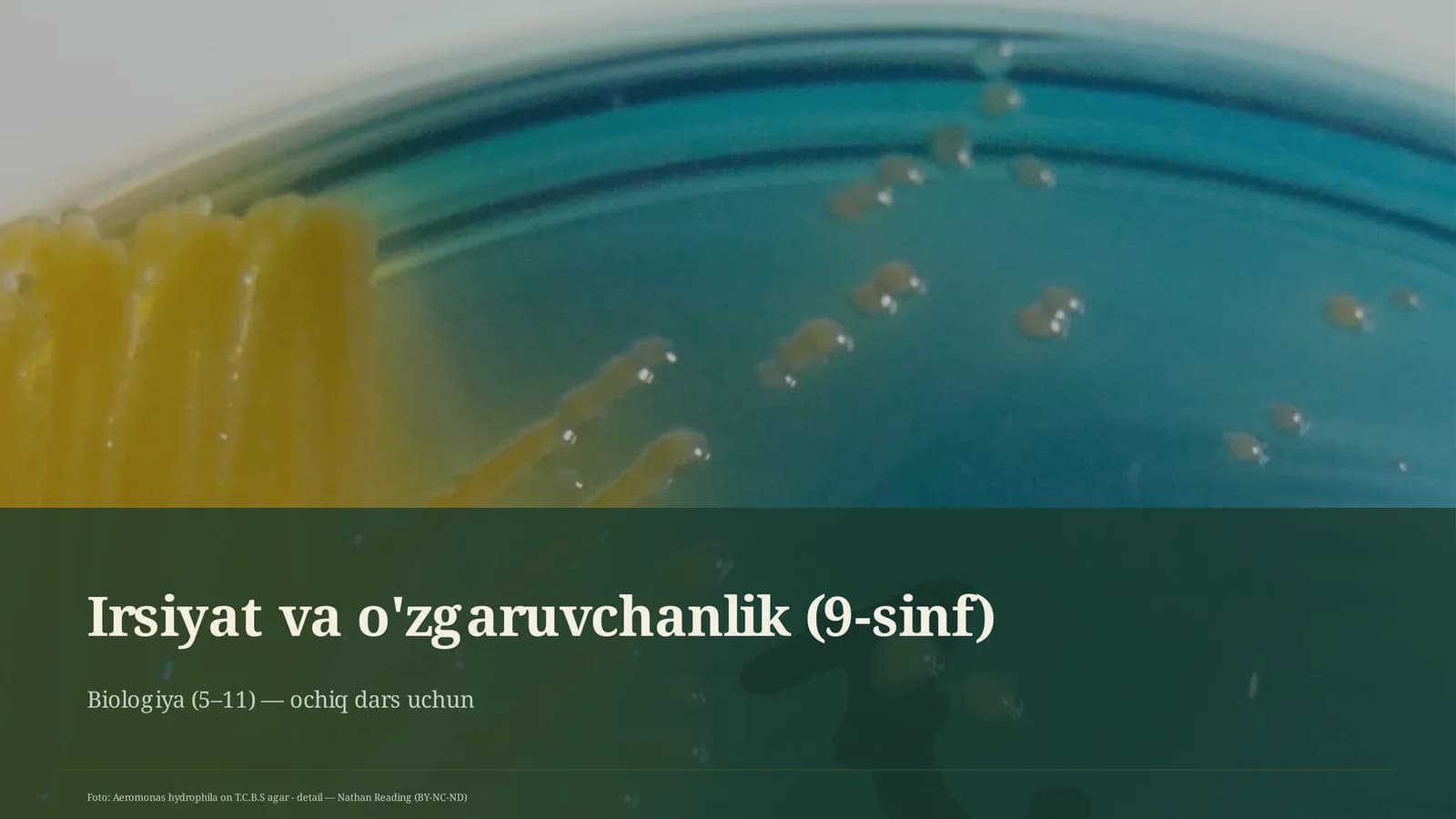 Irsiyat va o'zgaruvchanlik (9-sinf)