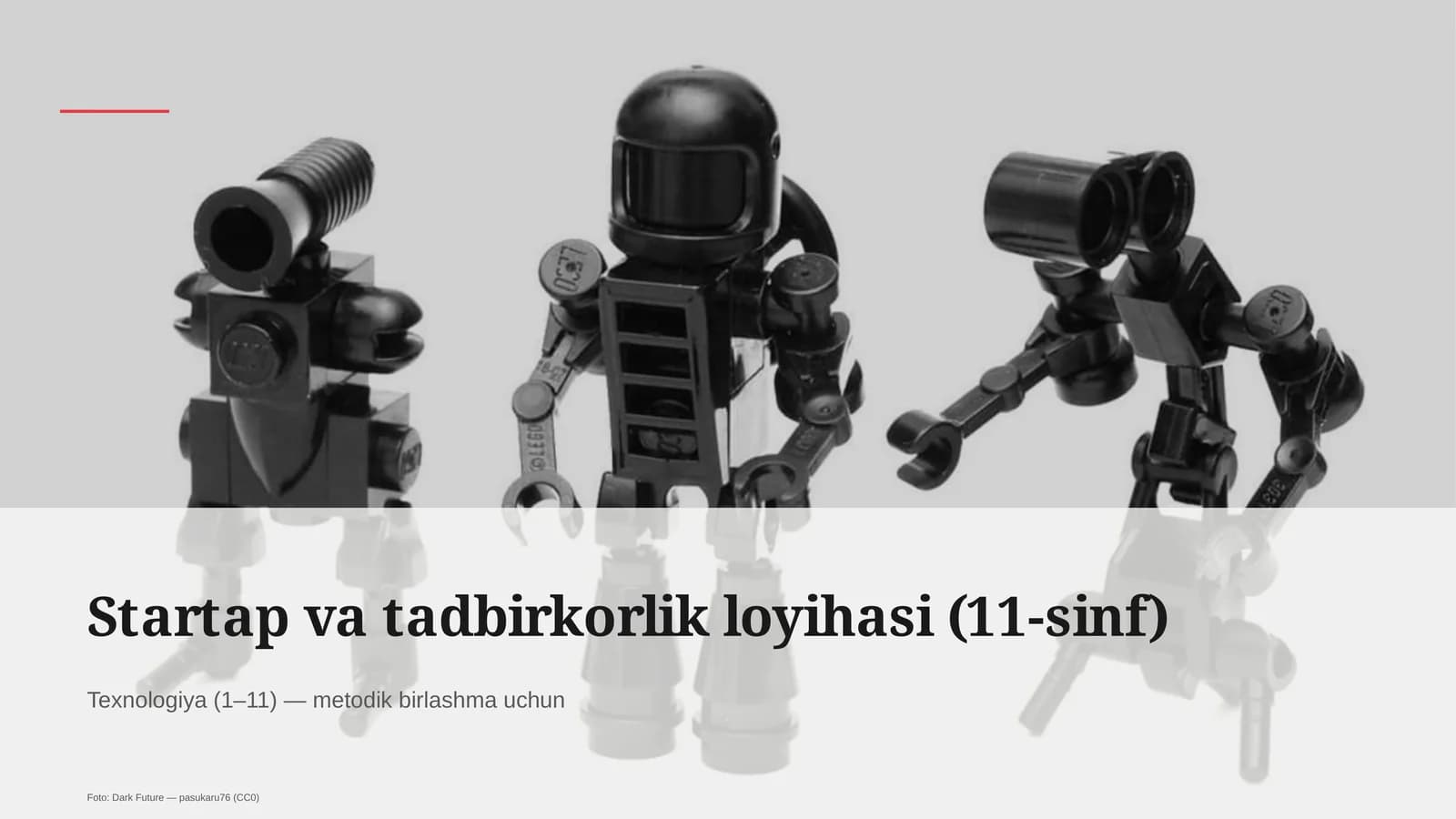 Startap va tadbirkorlik loyihasi (11-sinf)