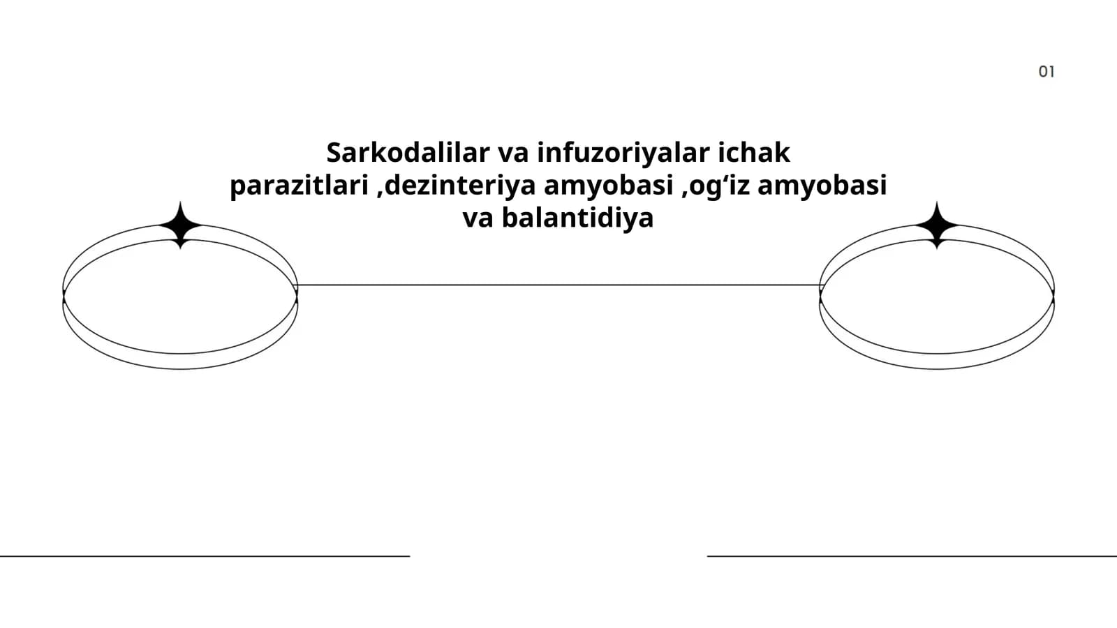 Sarkodalilar va infuzoriyalar ichak parazitlari,dezinteriya amyobasi,ogʻiz amyobasi va balantidiya