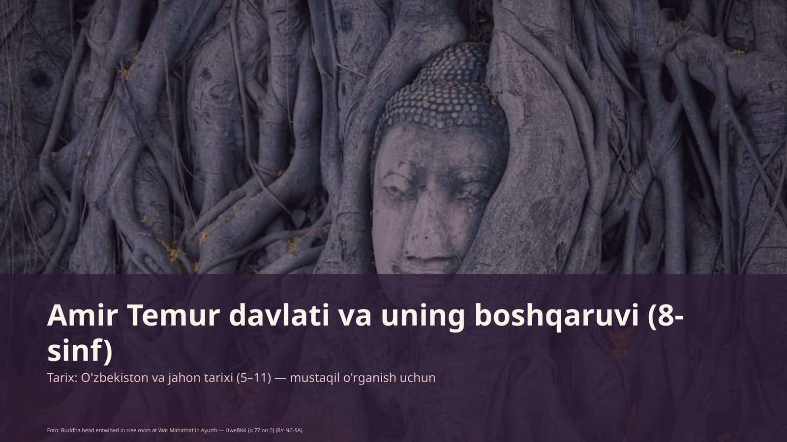 Amir Temur davlati va uning boshqaruvi (8-sinf)