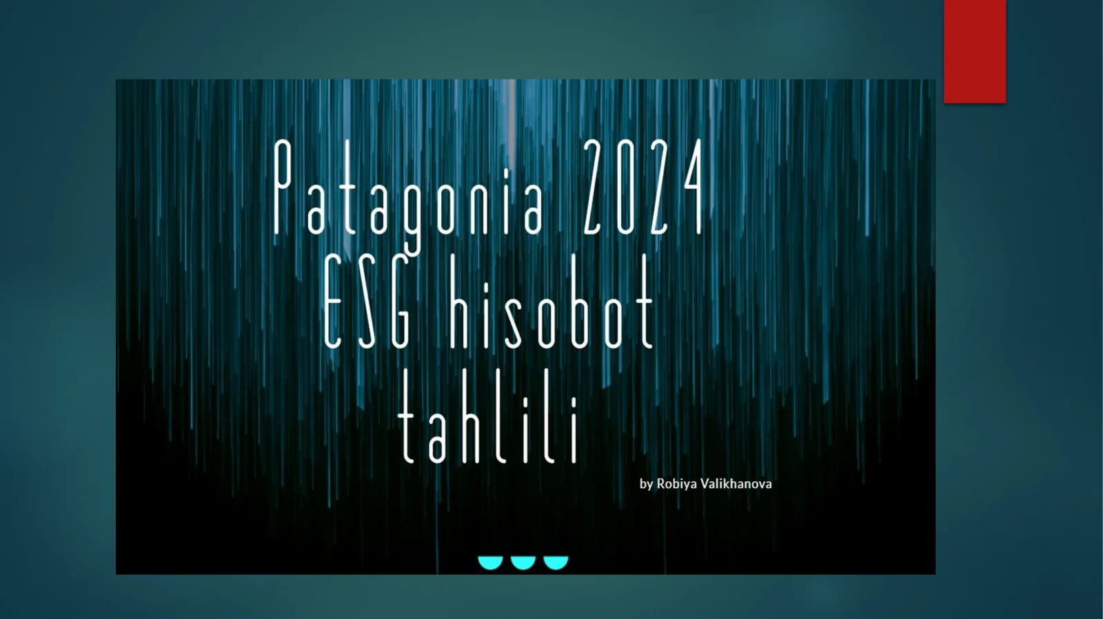 Patagonia brendining esg taqdimoti
