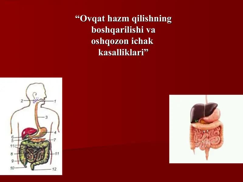 Ovqat hazm qilishning boshqarilishi va oshqozon ichak  kasalliklari