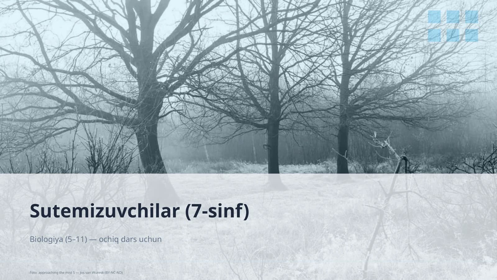 Sutemizuvchilar (7-sinf)