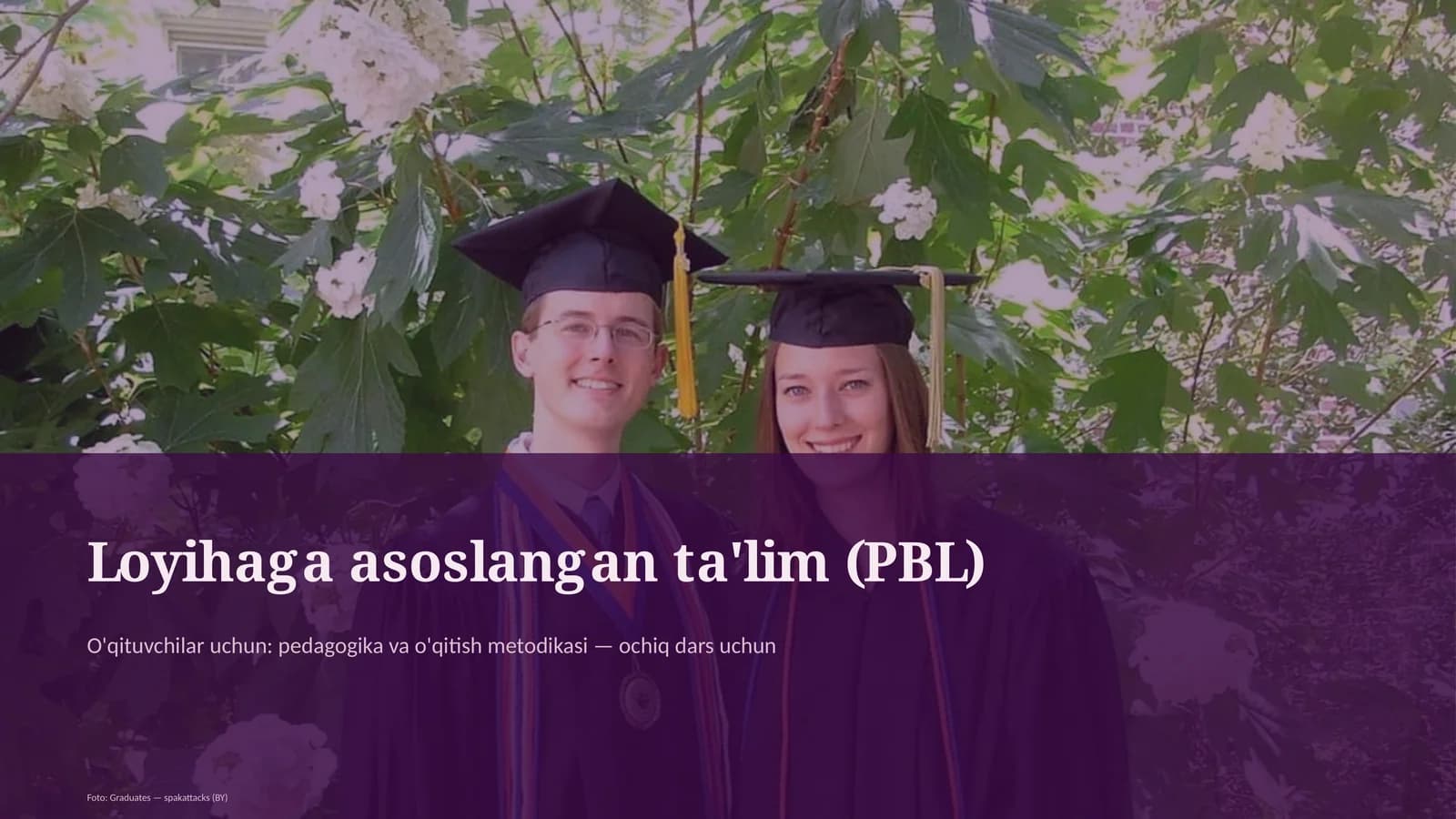Loyihaga asoslangan ta'lim (PBL)