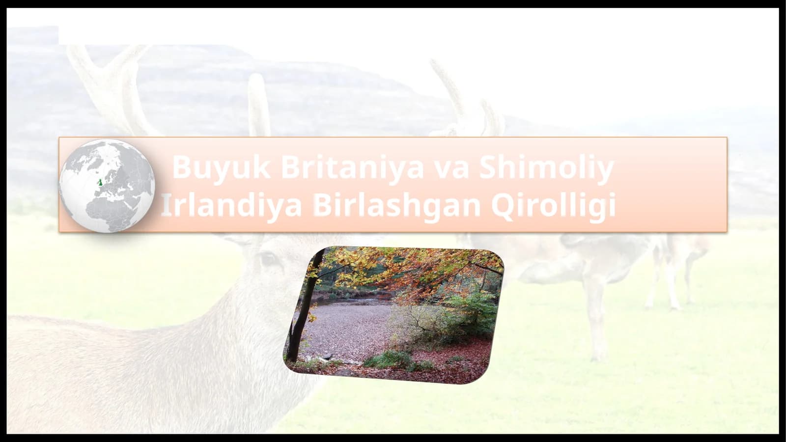 Buyuk Britaniya va Shimoliy Irlandiya Birlashgan Qirolligi