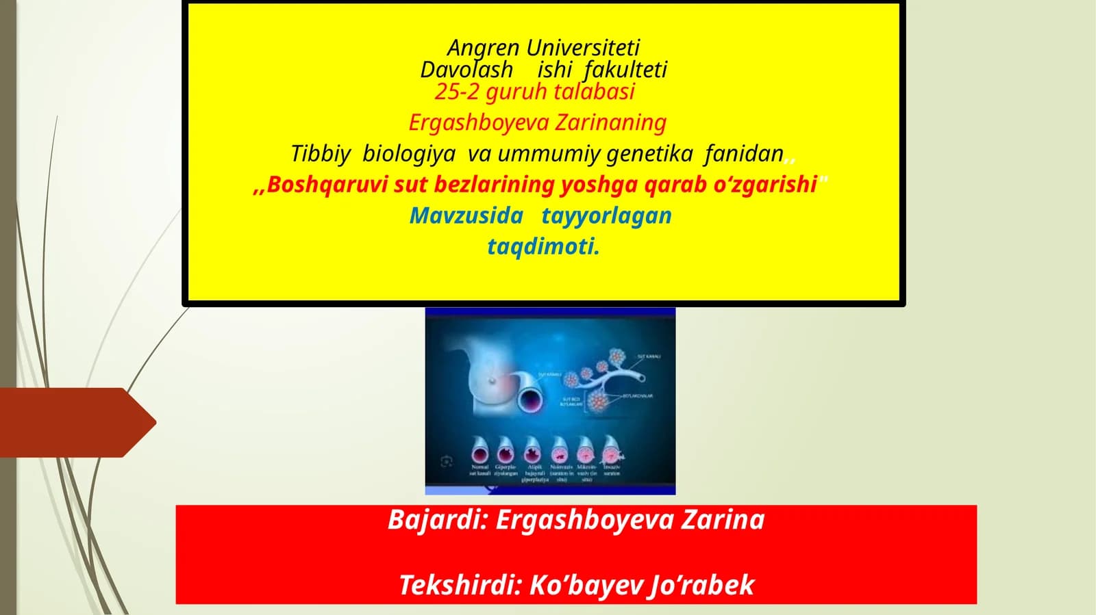 Tibbiy biologiya va umumiy genetika fanidan Sutbezlarining yoshga qaraboʻzgarishi