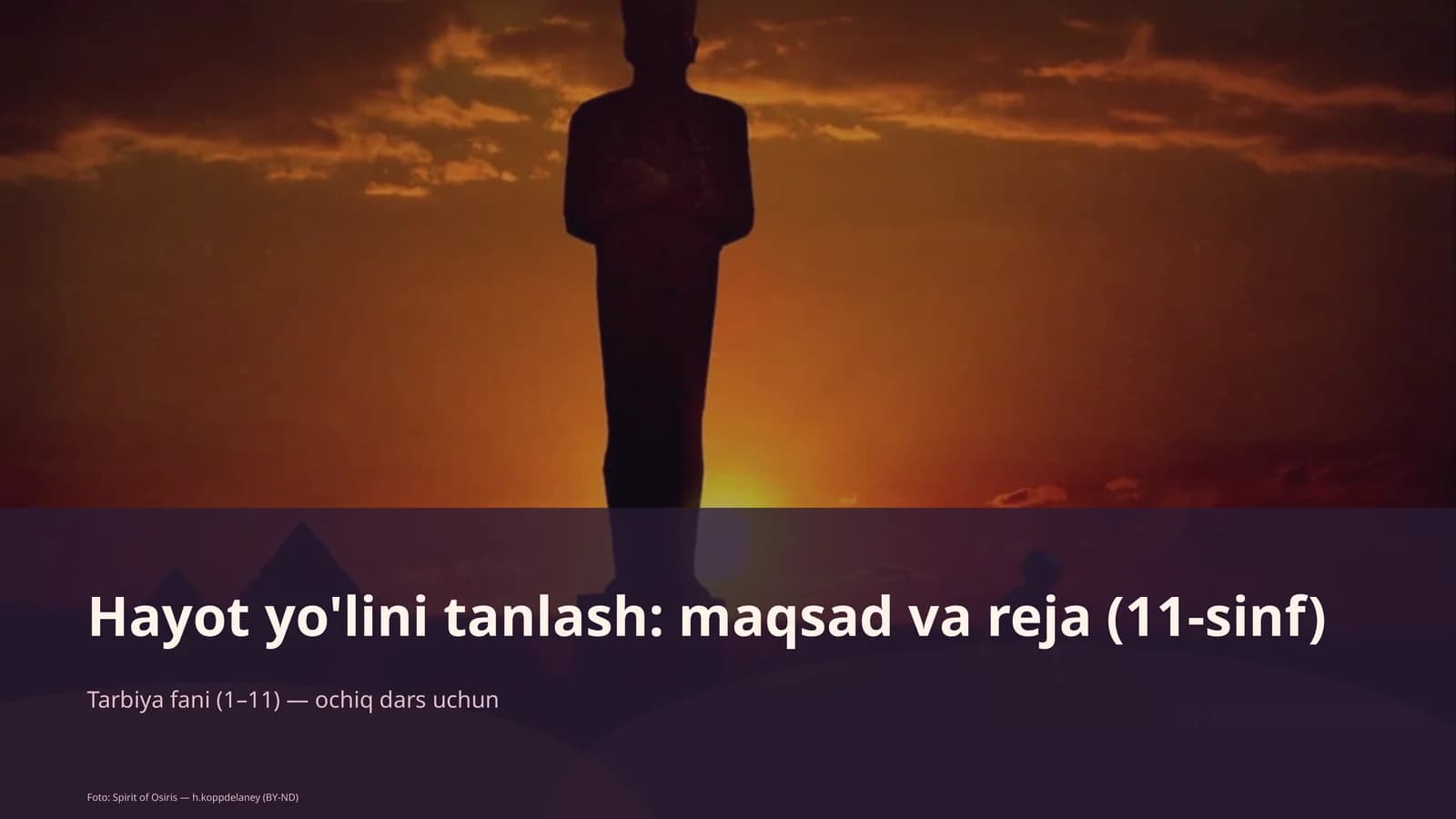 Hayot yo'lini tanlash: maqsad va reja (11-sinf)